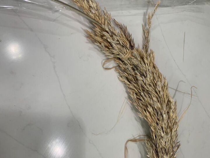 fall wreath wheat grain stems