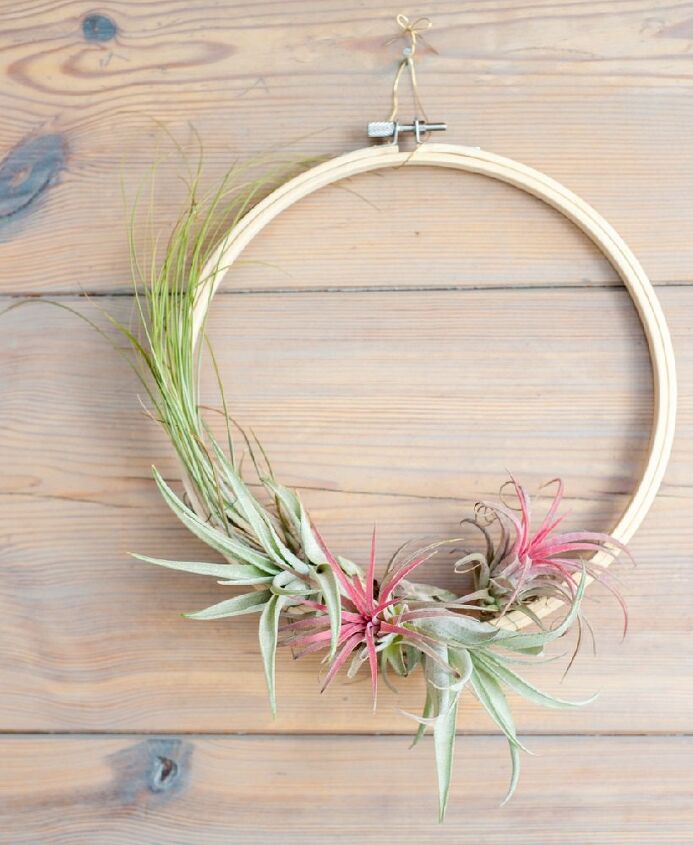 diy air plant wreath