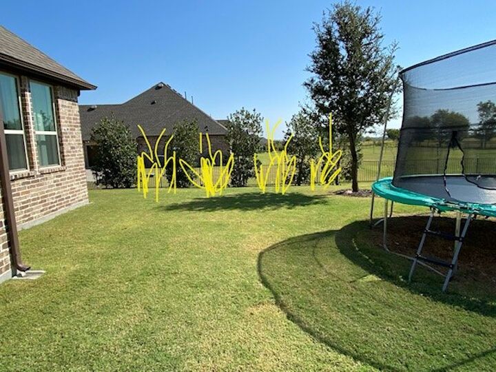 q how should i landscape for more privacy with grasses shrubs