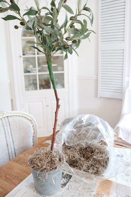 diy faux olive topiary