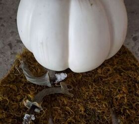 diy moss pumpkin