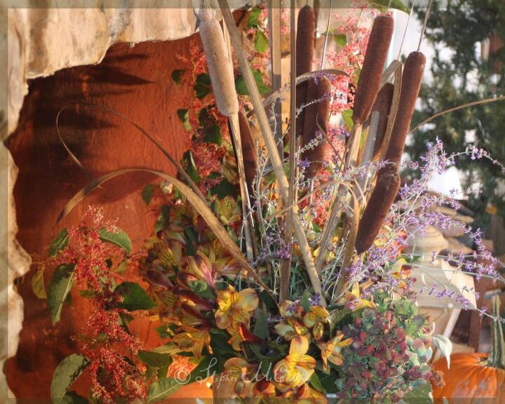 preserve cattails for autumn decor