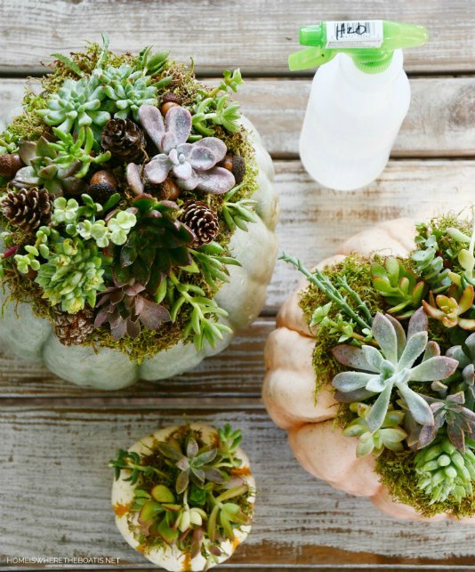 15 Ways to Make an Expensive-Looking Fall Centerpiece