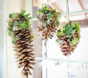 15 beautiful ways to use collected pine cones this season, Hang stunning pine cone and succulent arrangements from your window