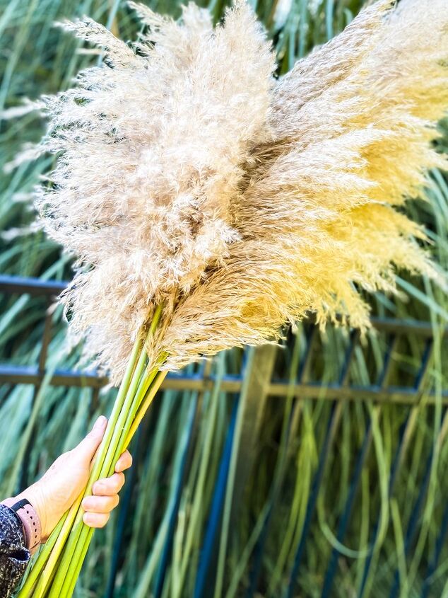 how to dry pampas grass in 3 easy steps