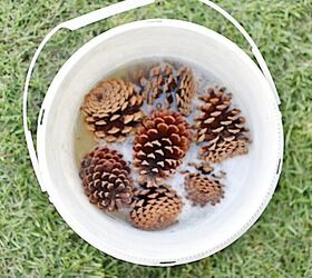 Don't decorate with pine cones before seeing this handy trick