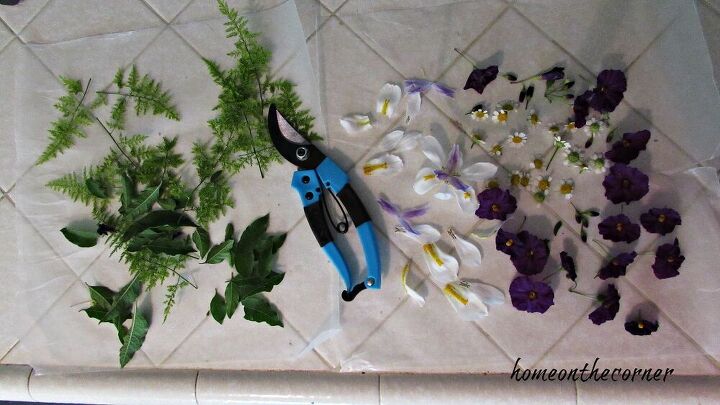 secando flores e mickey e minnie