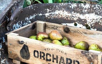 DIY a Rustic Orchard Crate From Scrap Wood!