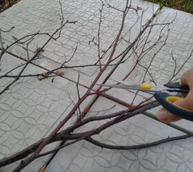 Snip the ends off fallen branches to create an impressive Thanksgiving table