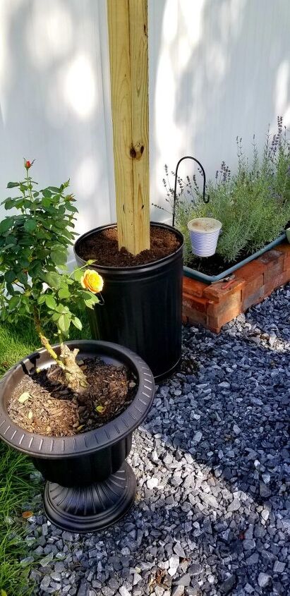 how to string outdoor solar lights with this cheap hack