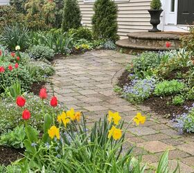 how to plant bulbs in fall, Tulips and Daffodils