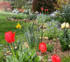 how to plant bulbs in fall
