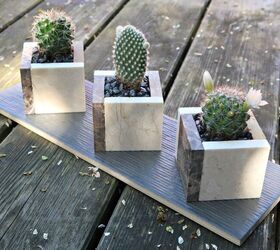 s 16 sweet mini planters that will liven up your bookshelves, Display your plants in stylish ceramic tile cubes