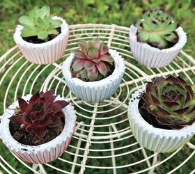 s 16 sweet mini planters that will liven up your bookshelves, DIY these cute concrete cupcake planters