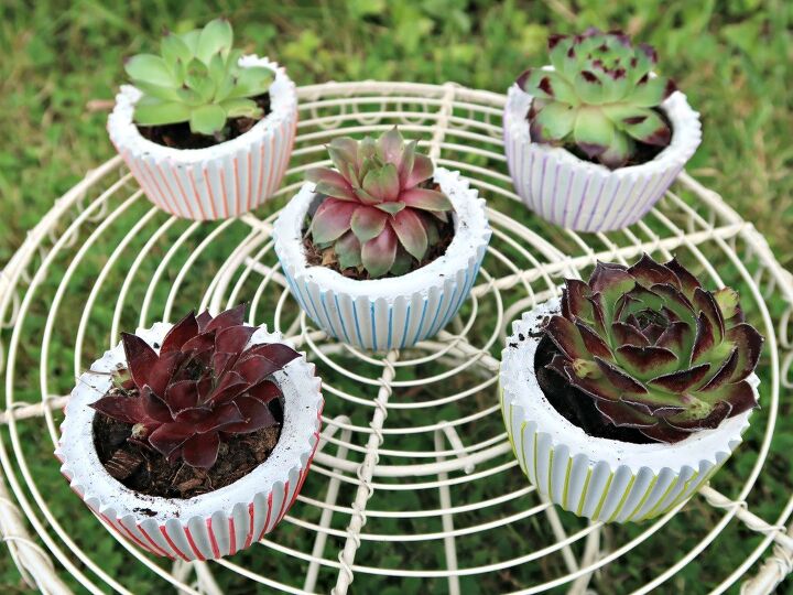 16 mini potes doces que vo animar suas prateleiras, Plantadores de concreto DIY lindos plantadores em forma de cupcake