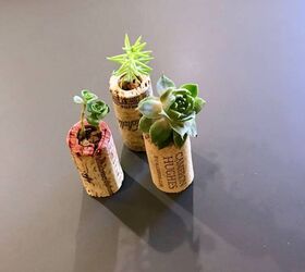 s 16 sweet mini planters that will liven up your bookshelves, DIY the sweetest little wine cork succulent planters