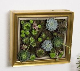s 20 of the smartest picture frame hacks we ve ever seen hands down, Bring your walls to life with a stunning succulent picture frame