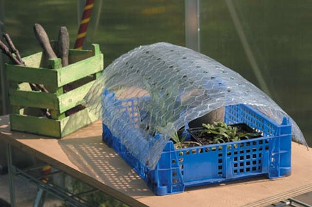 building a quick mini greenhouse