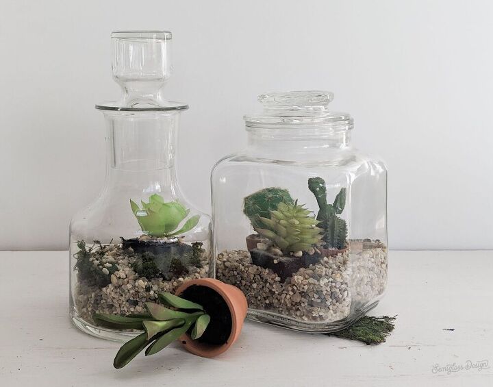 s 10 pretty alternatives for people who are tired of killing succulents, Make a lovely terrarium from mini potted succulents