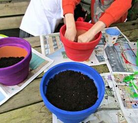 Do this now to have an incredible garden in the spring