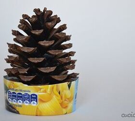 Sit a pine cone in a plastic container for this festive little accent