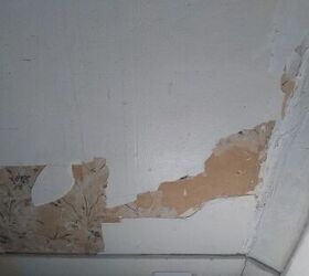 repairing lathe and plaster walls