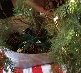 simple trick to keep cats out of the christmas tree