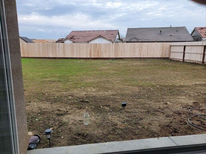 q diy backyard landscaping allergic to bees no hornets any ideas