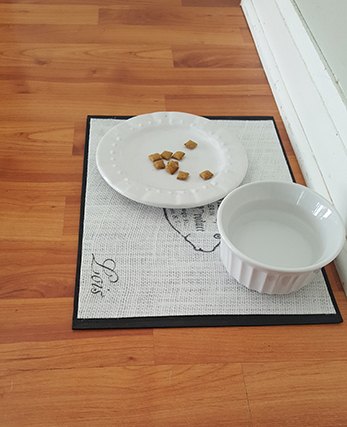 18 crazy cool things you can make using placemats, Spoil your fur babies with a personalized pet food placement