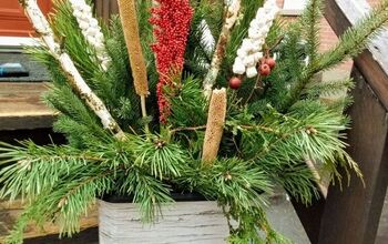 From Garbage Bin to Winter Planters