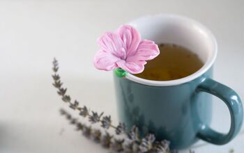  suporte de saquinho de chá em forma de flor