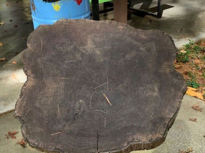 q tree cookie