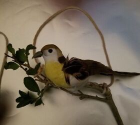 dollar store bird ornaments, Cute bird on a branch