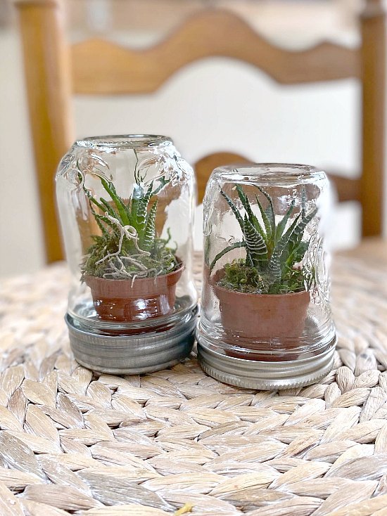 15 fun ways to use empty jars this season, Save the succulents with a self watering mason jar terrarium