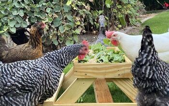 Una mesa de picnic con comedero para pollos