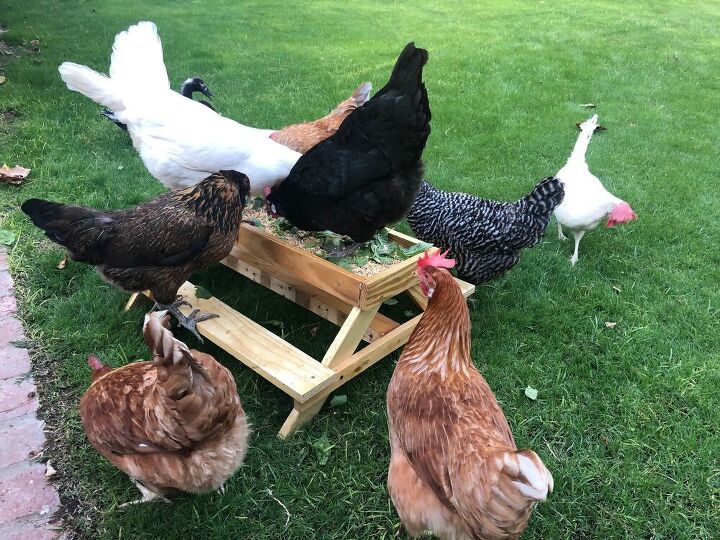 una mesa de picnic con comedero para pollos