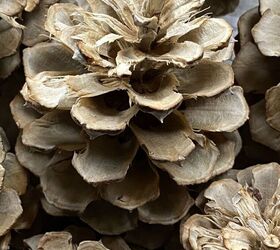 how to make bleached pinecones