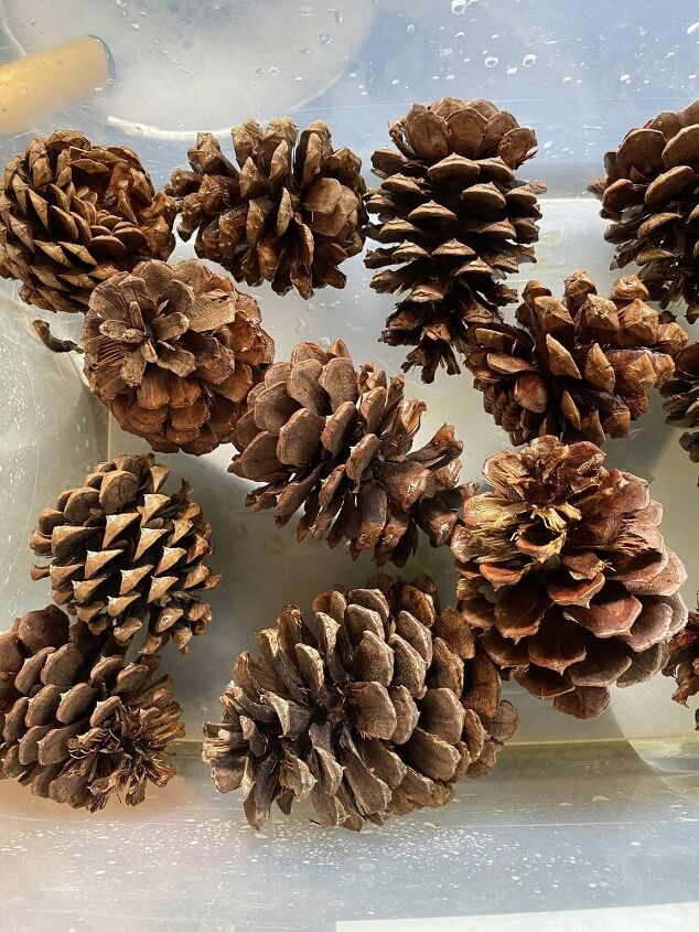 how to make bleached pinecones