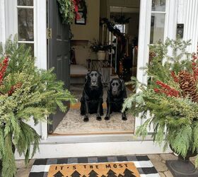 how to make beautiful outdoor planters for winter, My dogs love to greet visitors