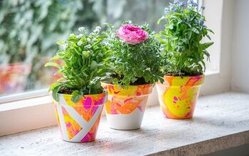11 ideas de regalo de última hora para los padres de las plantas en su vida