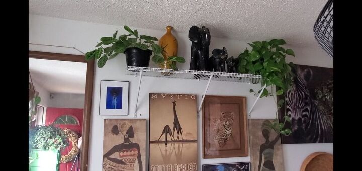das prateleiras do armrio parede de plantas