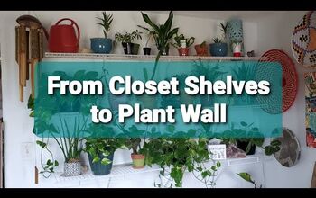  Das prateleiras do armário à parede de plantas