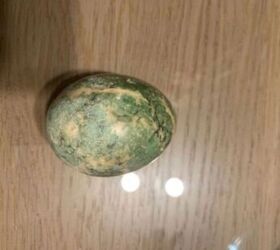 q how do i recolour stone eggs