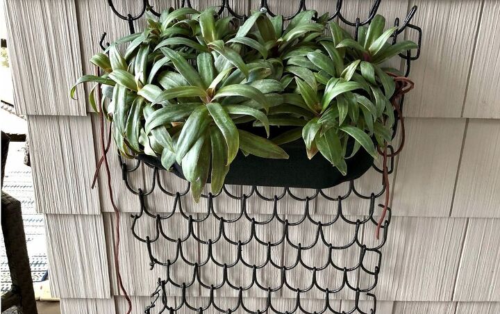 diy plant wall for a small space