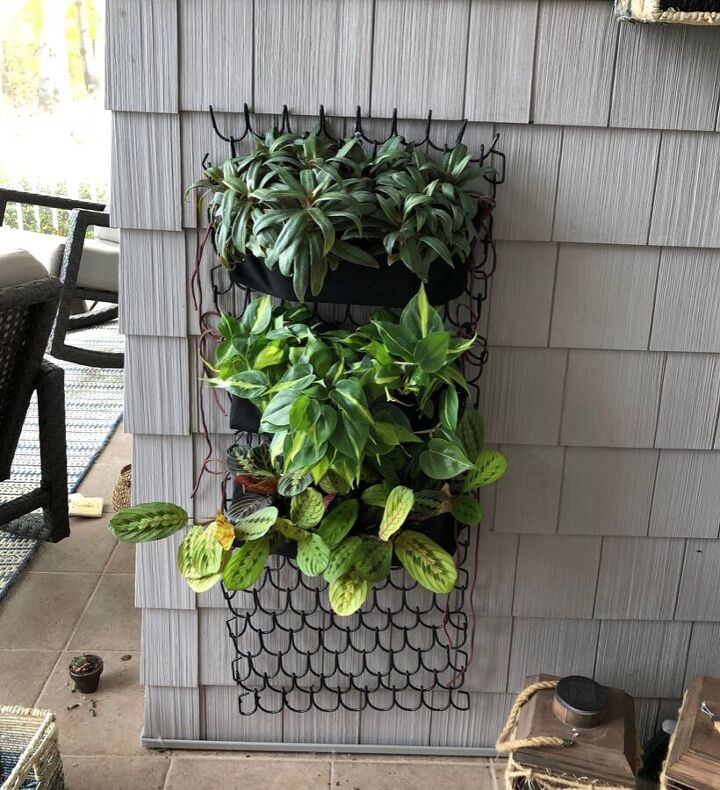diy plant wall for a small space