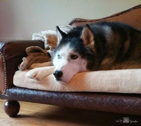 s 27 seriously cute diys every dog owner should see, Build a Dog Sofa