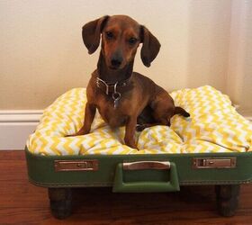 s 27 seriously cute diys every dog owner should see, DIY Doggie Bed