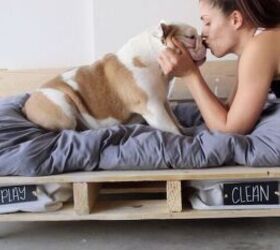 s 27 seriously cute diys every dog owner should see, DIY Dog Pallet Bed