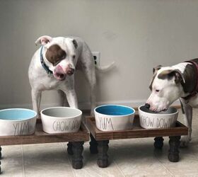 s 27 seriously cute diys every dog owner should see, DIY Dog Bowl Stands