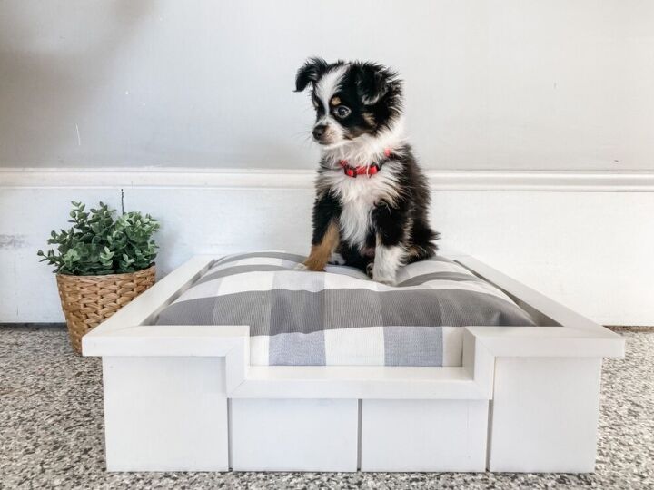 cama de madera para perros